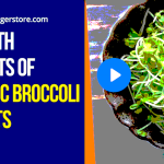 8 Health Benefits Of Home Made Broccoli Sprouts